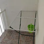 Ivo *