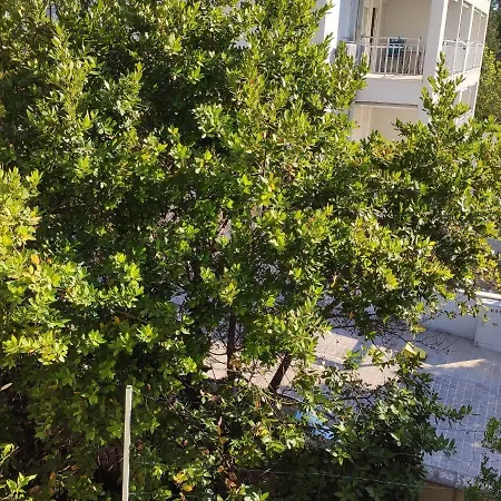 Ivo Apartman