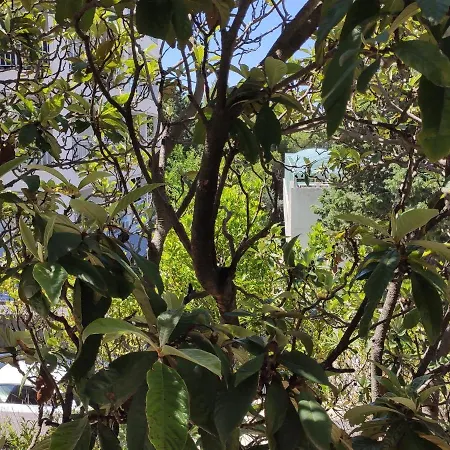 Apartament Ivo Makarska
