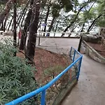 Ivo